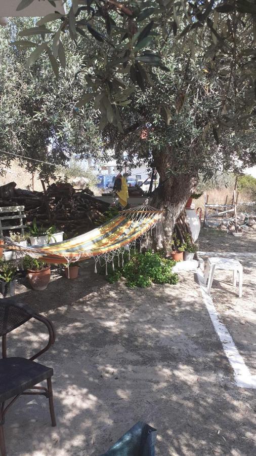 Olive Trees Villa Poros Town ภายนอก รูปภาพ